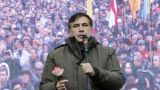Саакашвили могут привлечь за «революцию роз» — грузинский юрист