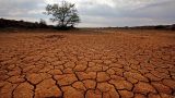 В ООН назвали аномальную жару на Земле «новой нормой»