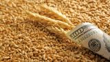 США обещают поддержать Грузию пшеницей