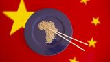 Китай в Африке: Черный континент как полигон для испытаний «мягкой силы»
