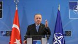 Шведы отказываются уступать Турции на пути в НАТО — опрос