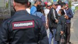 18 членов ОПГ из Санкт-Петербурга незаконно оформили 7000 мигрантов по всей России
