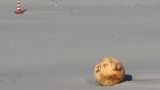 На юго-западном побережье Японии найден очередной шар неизвестного происхождения