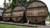 Экспорт российских вин в 2021 году вырастет на треть