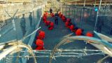 Командующего базой США в Гуантанамо уволили из-за «утраты доверия»