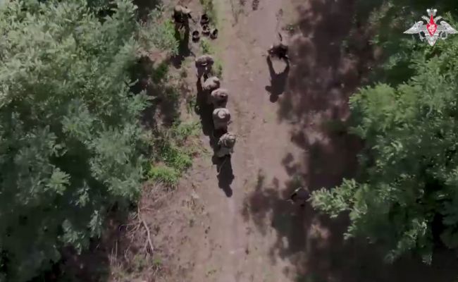 Эксперт: Украинские военные в Мирнограде начали сдаваться в плен