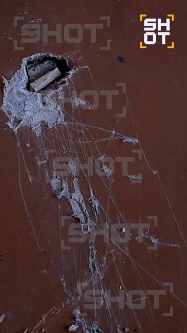 Бабушка-Гринч пошла по «схеме Долиной»: Россия обсуждает случай с квартирой в Омске