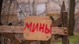 В ЛНР в результате подрыва на мине погиб подросток, трое его друзей ранены