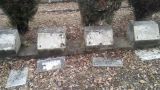 Неизвестные осквернили воинское кладбище в Кисловодске