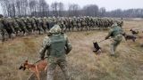 Лукшенко обеспокоен наращиванием военного контингента Украины