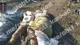 Бойцы «Каскада» уничтожили 19 украинских террористов на южнодонецком направлении