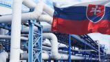 В Словакии заявили о запланированном снижении зависимости от российского газа