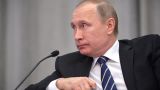 Путин: Нужно приложить все силы для сохранения стабильности в сфере малого бизнеса