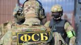 В Крыму на железной дороге по указанию главарей боевиков ИГ готовился теракт — ФСБ