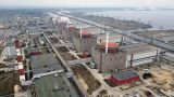 Песков: Россия планирует оставить Запорожскую АЭС? Этого быть не может!