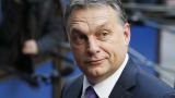 Венгрия блокирует программу расширения сотрудничества НАТО с Украиной