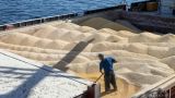 Россия возобновила свое участие в соглашении по вывозу зерна из портов Украины