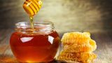 Это правильный мед: Киргизия намерена защищать продукцию своих пчеловодов
