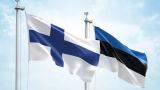 Финнам не понравилась идея эстонского министра о «Балтийском море НАТО»