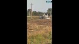 Полицейскую погоню с мигалками за трактором по полю наблюдали жители Башкирии — видео