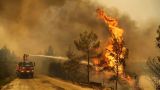 В Турции растет площадь лесных пожаров