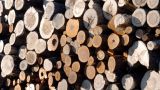 Цены на дрова в Эстонии бьют рекорды