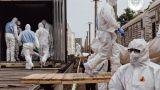 Россия передала Украине ещё 1200 тел военных