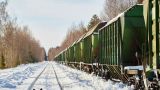 Латвия не намерена запрещать транзит зерна из России и Белоруссии