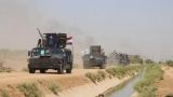 Иракские силовики арестовали шесть боевиков в Киркуке