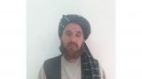 На афгано-пакистанской границе арестован один из лидеров талибов