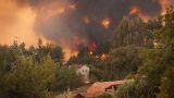Во французской Бретани сгорело более 300 гектаров леса