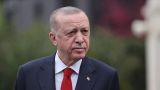 Турция готова организовать встречу Путина и Зеленского в Стамбуле
