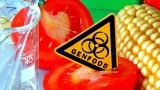 В России в восемь раз упало число нарушений при маркировке продуктов с ГМО