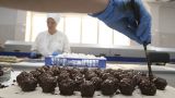 Россия может стать крупнейшим поставщиком шоколада на китайский рынок