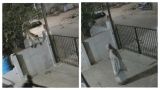 Обезьяна растерзала жену известного индийского писателя