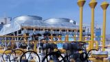 Сербию начинают готовить к азербайджанскому газу