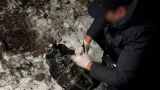 Россия, Казахстан и Киргизия провели совместные спецоперации против наркотрафика