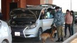Незаконный ввоз автомобилей из Абхазии раскрыли российские таможенники