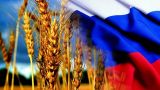 Россия использовала половину годового экспортного потенциала пшеницы: темпы падают