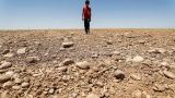 Ирак сократит на 50% посевы озимых из-за нехватки воды