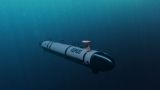 Хозяйка НАТО гадит Черноморскому флоту: Бельгия обучит ВСУшников подводным дронам