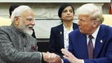 Economist: Власти Индии потрясены хамством Трампа