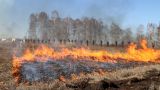 В России за сутки потушено 70 лесных пожаров