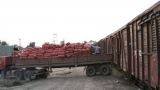 «Овощной тариф»: льготную перевозку картофеля по России придётся субсидировать