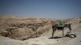 Ослабление ограничений, бедуинский террор и «злой Биби»: Израиль в фокусе