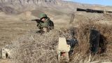Армии России и Таджикистана проводят совместные учения у границы с Афганистаном