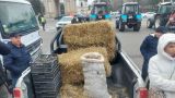 Навоз и сено в центре Кишинева: Санду напомнили, кто кормит Молдавию