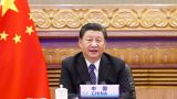 Си Цзиньпин: Страны БРИКС должны вместе выступать против односторонних санкций