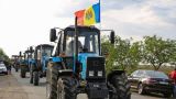 В Молдавии фермеры снова выходят на протест: Власть игнорирует наши проблемы