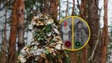 БПЛА не заметят: пораженный Запад обсуждает уникальный камуфляж из России